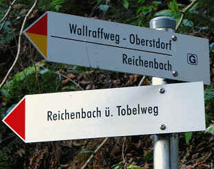 Reichenbachtobel